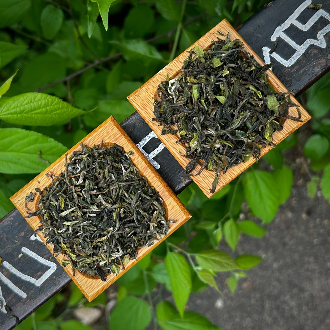 A tavaszi darjeeling árnyalatai