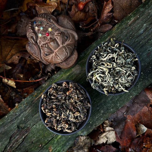 E heti kaland: csigák és sárkányok