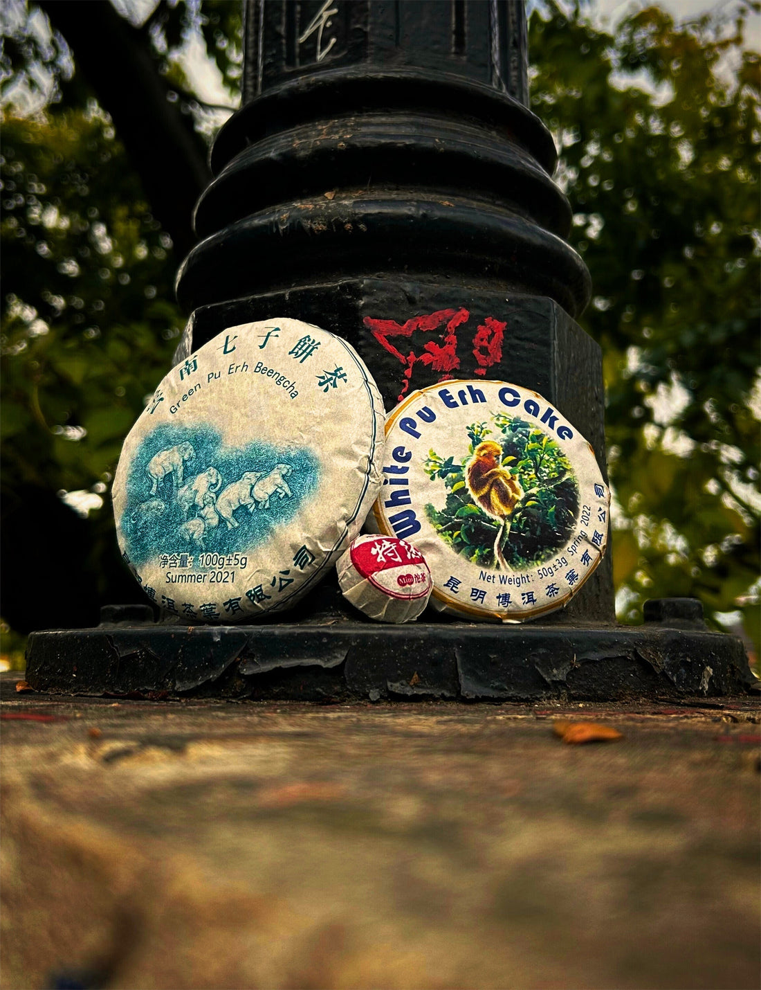 Préselt újdonságok