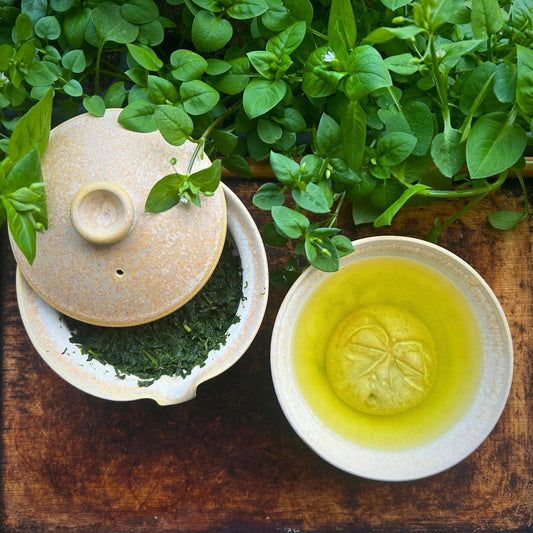 Shizuokai zöldhullám